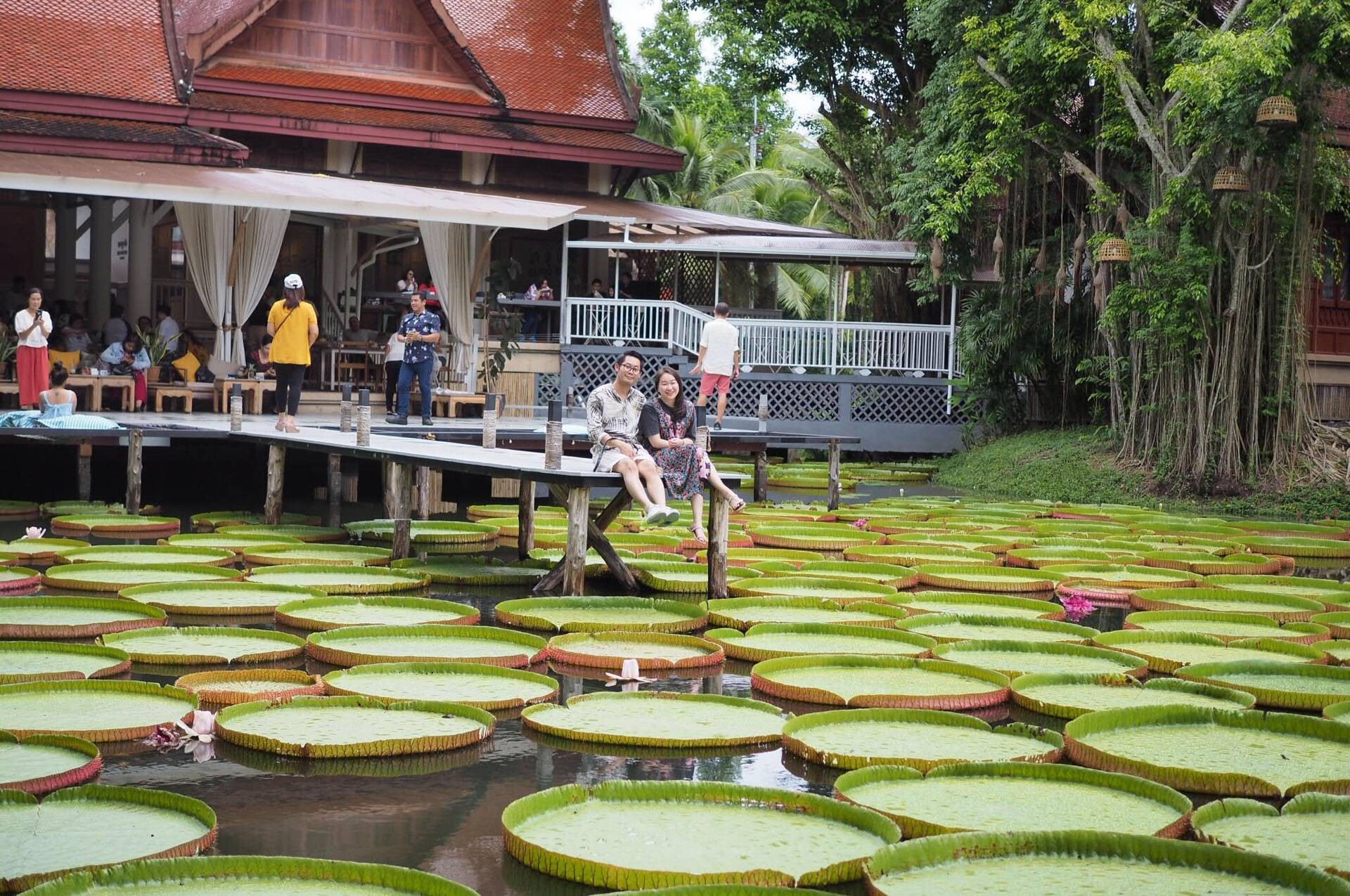 Real photo of Ma Doo Bua Café and its lily pond
